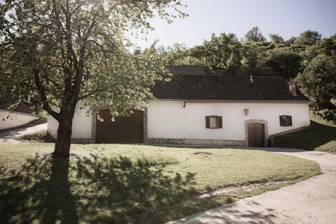 Ferienwohnung Am Weingut Eisenbock Strass  Dış mekan fotoğraf