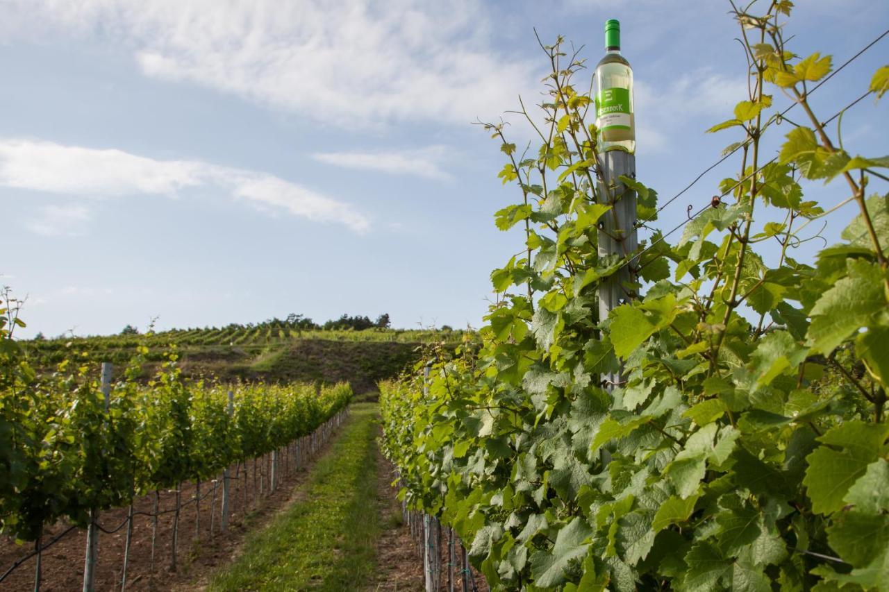 Ferienwohnung Am Weingut Eisenbock Strass  Dış mekan fotoğraf