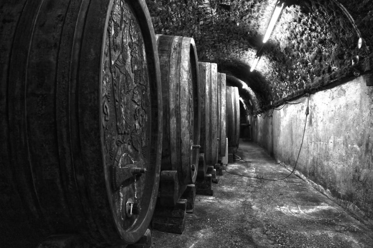 Ferienwohnung Am Weingut Eisenbock Strass  Dış mekan fotoğraf