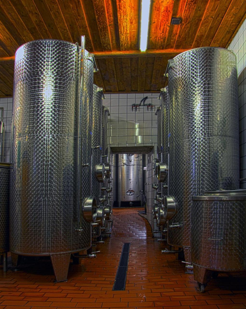 Ferienwohnung Am Weingut Eisenbock Strass  Dış mekan fotoğraf